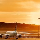 (주)코로나펫 이미지