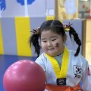 화남 태권도 이미지