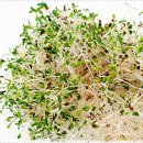 이편안치과의원 이미지