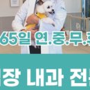 울산 잘하는동물메디컬센터 네이버블로그