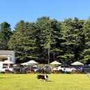 그라운독 이미지