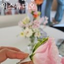 앤아워스튜디오