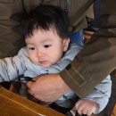 11개월 아기랑 공주여행 동학사 / 대복상회