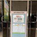 벌교파3골프연습장 | 안산 제일 파3 연습장 후기 벚꽃 보면서 골프 연습🌸