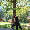 메이플 베이 (maple bay) 이미지