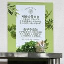 강서바른한의원 | 가경동해장국 강서동시영순대에서 얼큰순댓국.