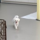 댕동댕 유치원 이미지