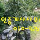 팔공산식당 네이버블로그
