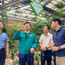 공판장유통 이미지