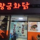 황금화닭
