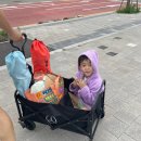 낙원슈퍼 | 여름 조하