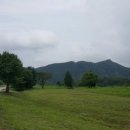 파인행정사사무소 이미지