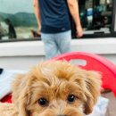 바다를 닮은집 이미지