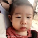 [D+337to347] 또다시 까꿍놀이 / 아빠 불러대기 / 그간 육아일기 달려봐요 ㅠ