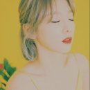 fine(파인) 이미지