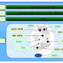 남양주조복산삼