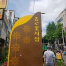종로꽃시장 &amp; 공중습도로 웃자라버린 리톱스