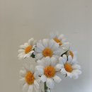 손끝에서 피어나는 페이퍼 플라워 이미지