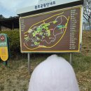 포항 해상스카이워크 | 포항 환호공원 스페이스워크 &amp; 해상스카이워크 여행 후기: 짜릿한 바다와 풍경을 만끽하다