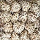 해오름상사 이미지