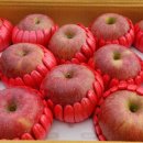 설선물용 사과 배 고구마 이미지