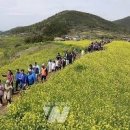 [청산도 슬로길 여행/청산도 범바위 가는 길/청산도 여행코스] 이미지