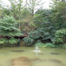 휘게리 잣나무숲 캠핑장 이미지