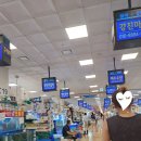노량진수산시장 모둠 회 소라 튀김 횟집 전라도 양념 집 후기