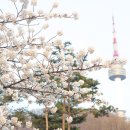 남산가는길(야경)코스 이미지