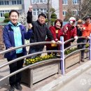 성포동 경일초교 사거리 네이버블로그