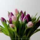 그린화장품 이미지