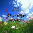 국립아시아문화전당 개관기념 시민축제 1 - 뮤지컬컨버전스쇼 | 화순 고인돌 가을꽃축제부터 목포 야행까지! 광주 서창억새축제까지 즐기는 광주전남 10월 가을축제 추천