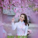 남강인력개발 이미지