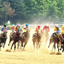 경마공원 이미지