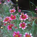 사각하늘 이미지