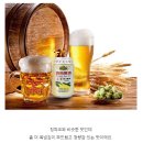 중국 맥주 순위 이미지