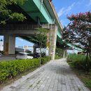 GS25 대저생태공원점 | [부산] 부산대저생태공원 팜파스, 버베나