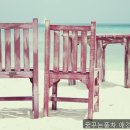 꿈꾸는풍차애견동반펜션 | 강릉시펜션 꿈꾸는풍차 애견동반 펜션 조용한 힐링 공간 찾아보세요