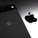 B.F boxing 이미지