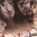 강정동-55 이미지