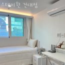 가지스테이 이미지