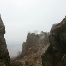 더자주