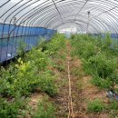 장계농장 이미지