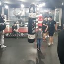 앨바트로 복싱 이미지