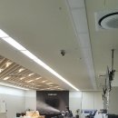 헬로우존방역