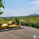 범계농장 이미지