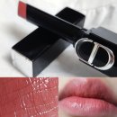 226 | 품절 컬러인 디올 온 스테이지 립스틱 226호💄 발색 후기 (장점·단점 포함)