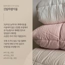 착한이불 | 추워지는 날씨에 포근한 이불들 찾고 계시죠? 후기 극찬인 착한 가격대의 유럽 오코텍스 인증까지 받은...