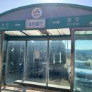 대오염전 Daum카페