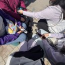 보라10호 | [강릉] 1박2일 강릉여행 뚜벅이 코스 추천 _ 5월의 강릉 _ 고등어들 7번째 여행🐟 1탄